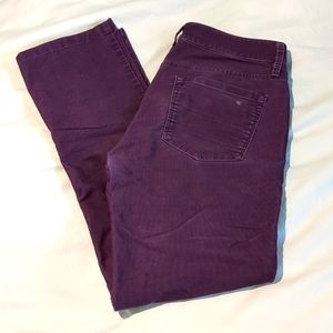 Ann Taylor loft purple corduroys